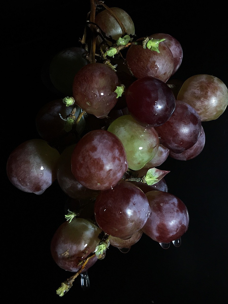 Muscat Grapes