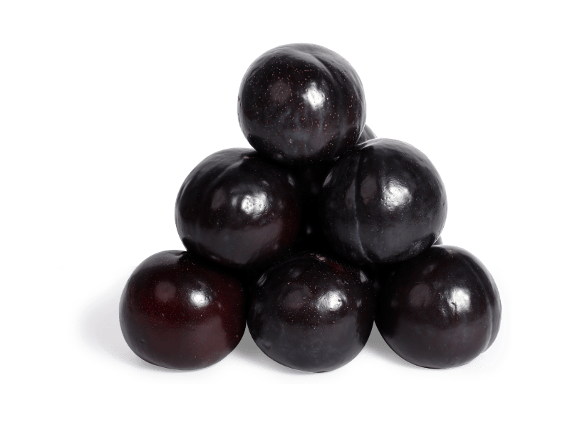 order online Australian Plum delhi