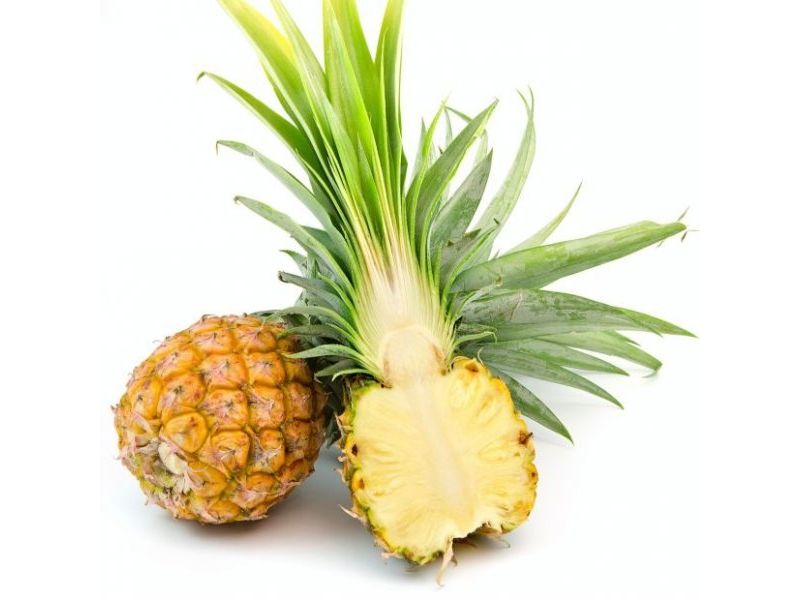  Thai Baby or Mini Pineapple (Ananas) back side
