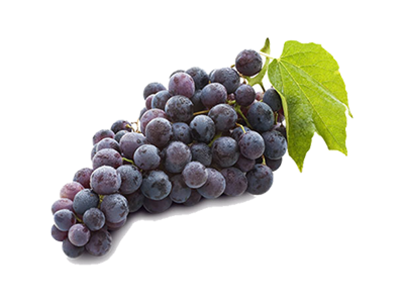 Buy Fresh Black Grapes Online at FruitSmith