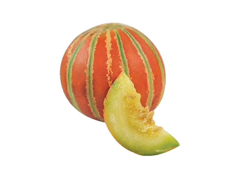 Indian Melon