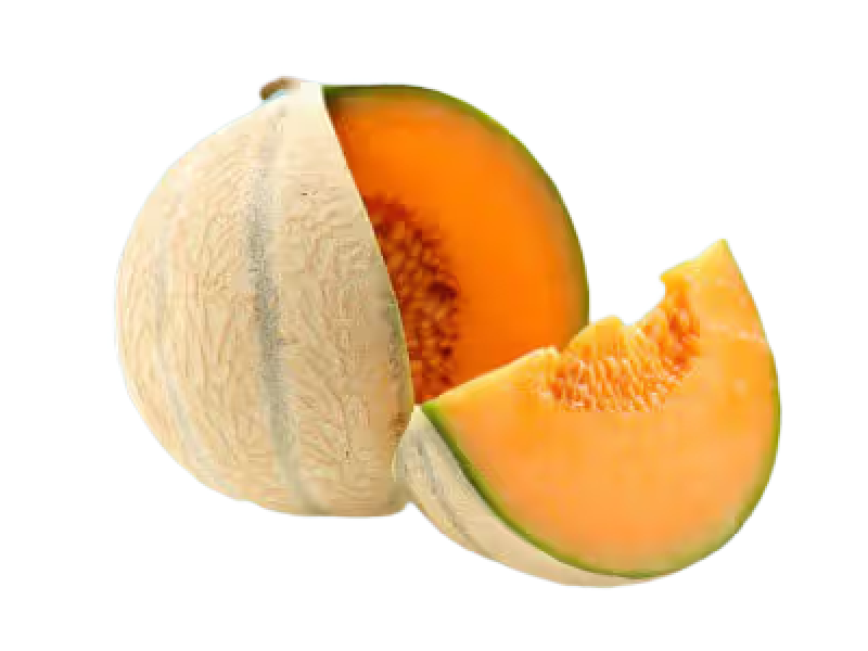 Honey Melon