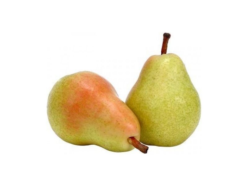 Pear Tenchi USA
