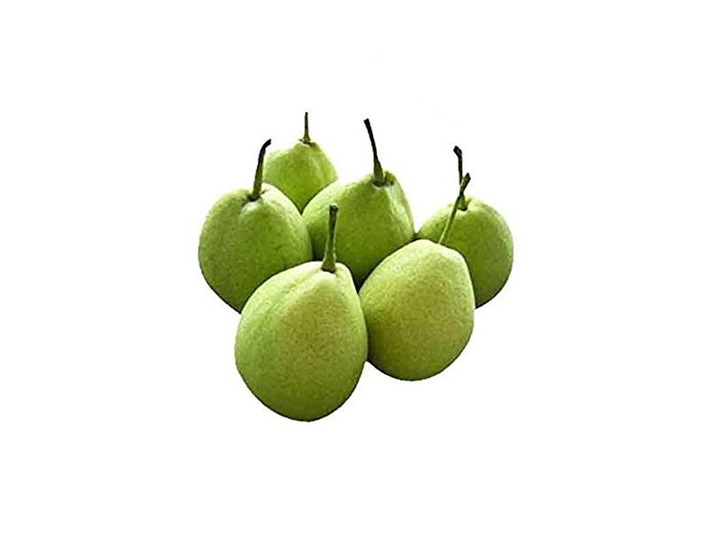 buy order fresh Indian Pear Kashmiri Naakh nashpati Online delhi