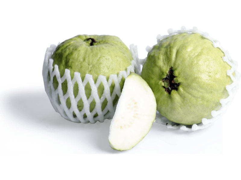Order Online Fresh Thailand Guava (Amrood) at Best Price Delhi