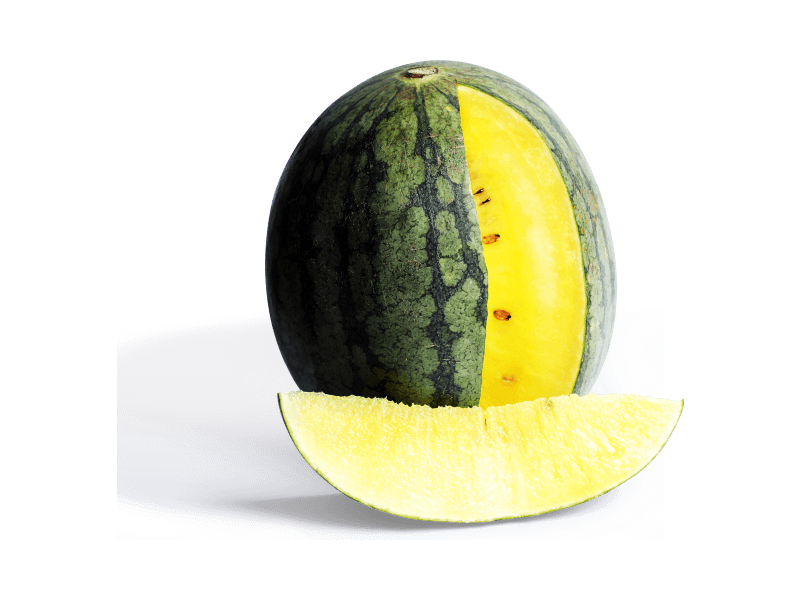 Yellow Watermelon