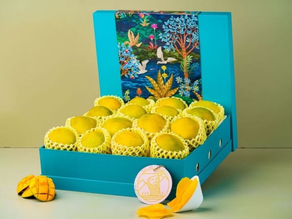 Mango Hamper 12