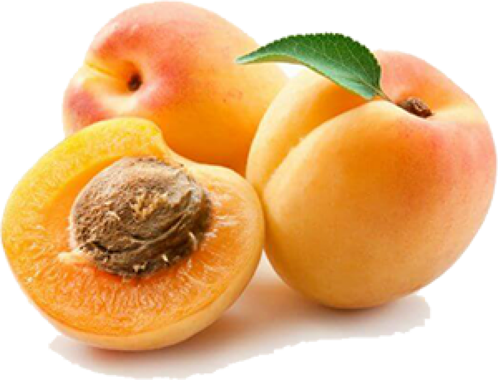 Indian Apricot