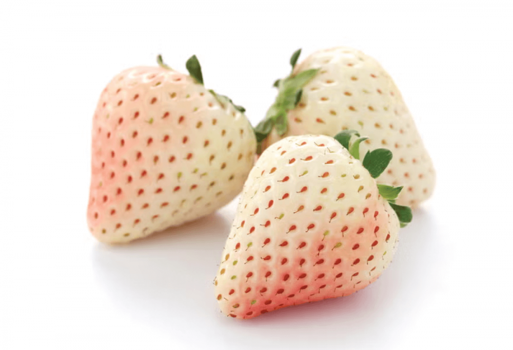 Golden Strawberry