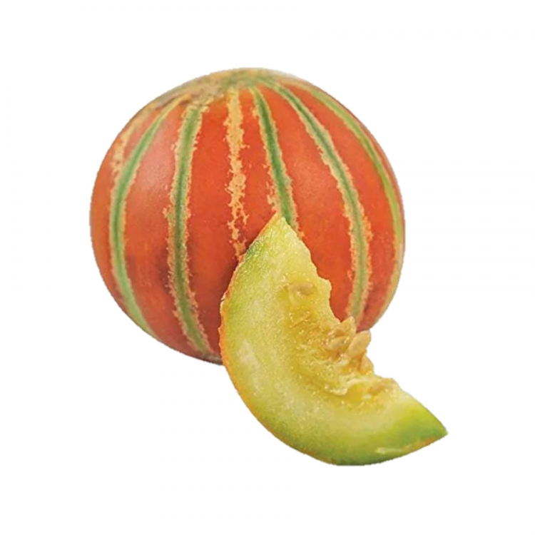 Indian Melon