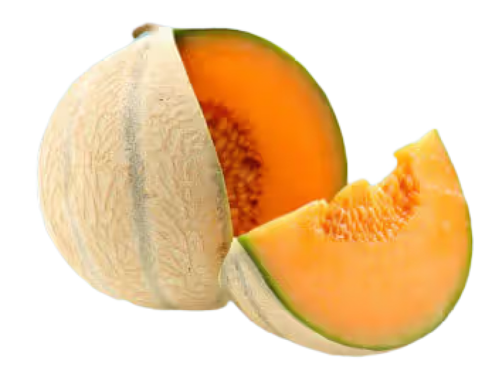 Honey Melon