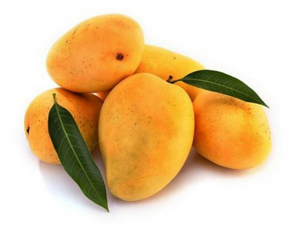 Mango Safeda