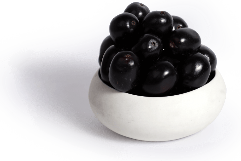 Java Plum (Jamun)