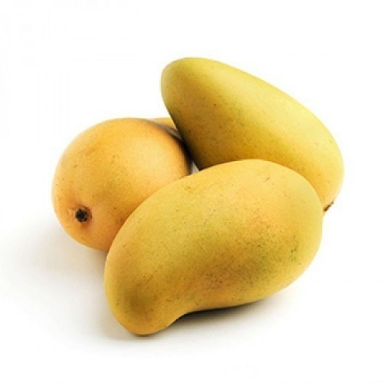 Mango Kesar