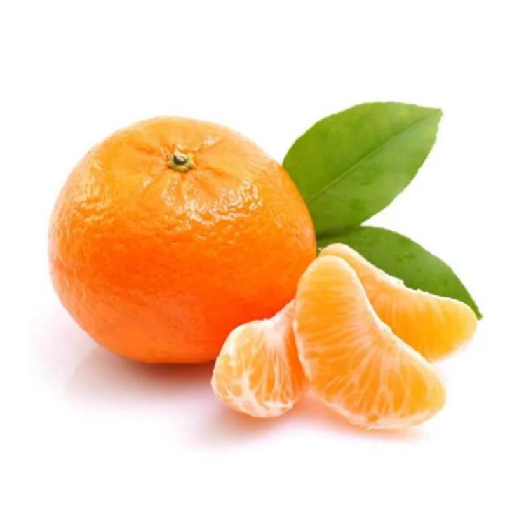 order fresh navel orange malta online buy in delhi