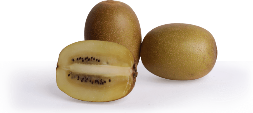 order zespri Kiwi gold or gold kiwi new zealand online delhi