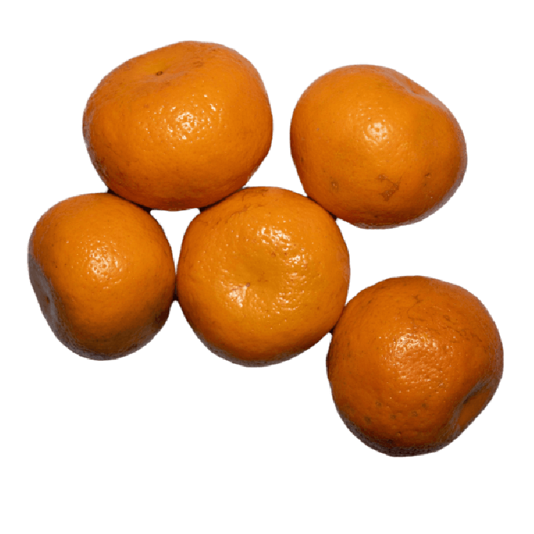 order fresh navel orange malta online buy in delhi