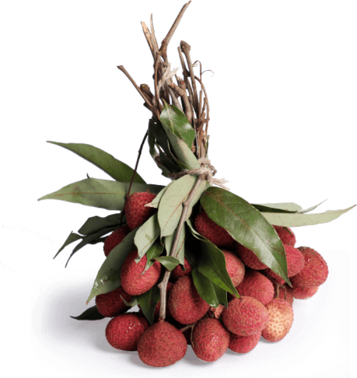 Indian Litchi