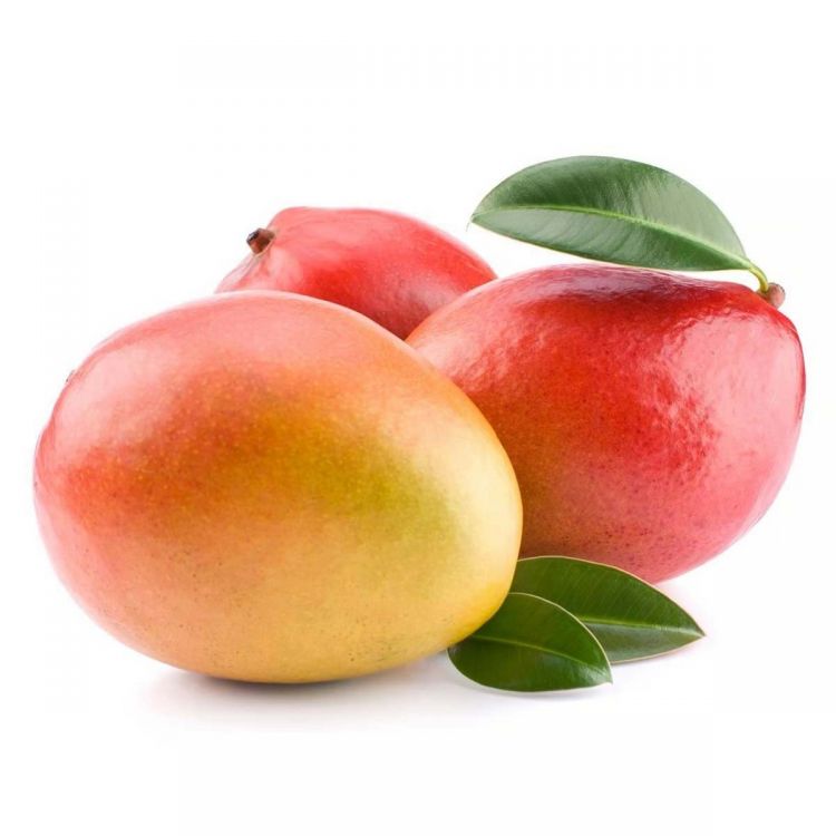Mango Egypt