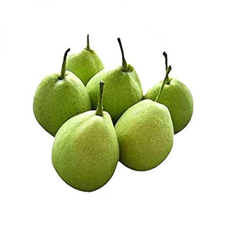 buy order fresh Indian Pear Kashmiri Naakh nashpati Online delhi