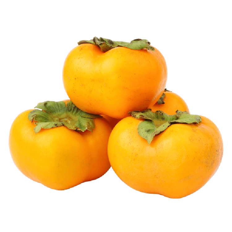 Persimmon