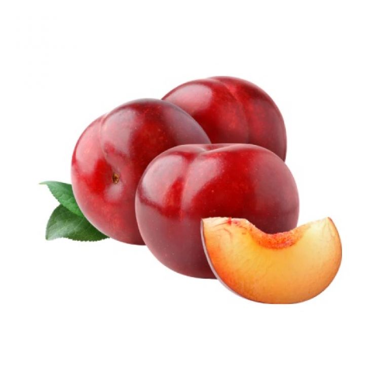 buy order south africa plum online price delhi