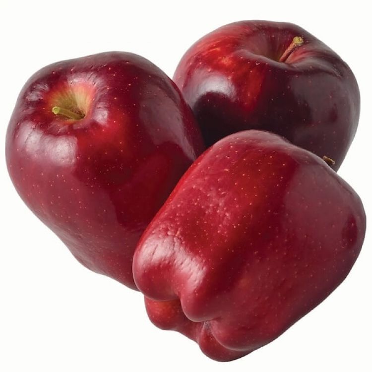 new zealand apple buy online delhi price