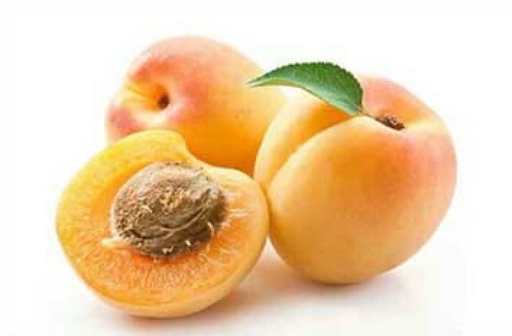 Imported Apricot