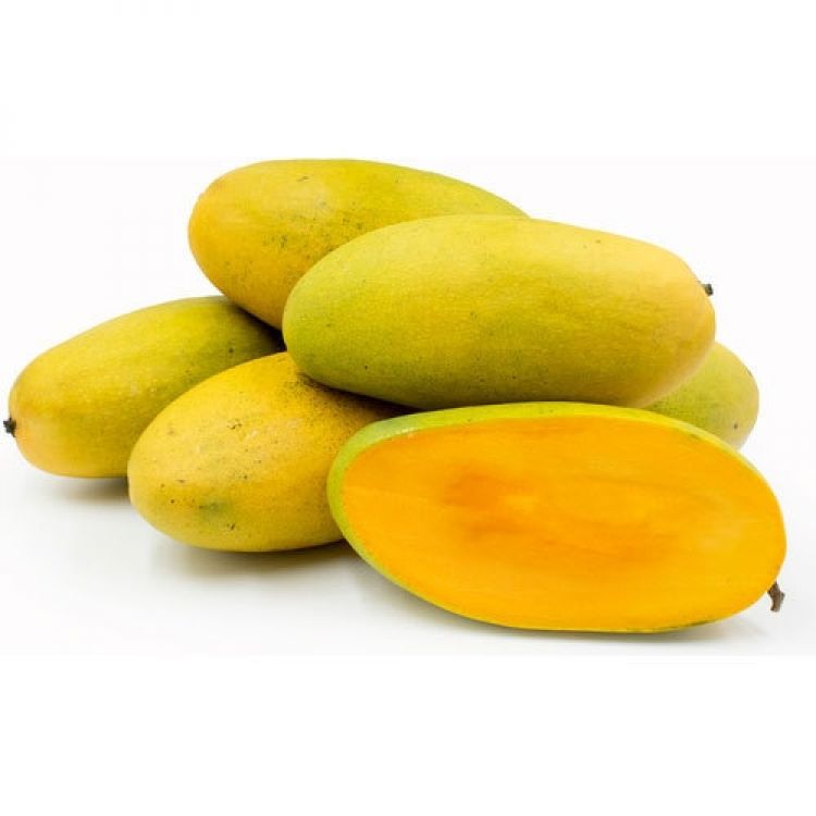 Mango Dasheri
