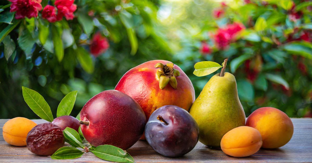 10 Rainy Season Fruits in India