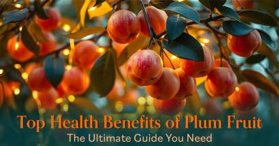 Plum Fruit: Top Health Benefits, Types, and Diet Tips